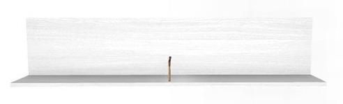 Полка ПЛ-1003