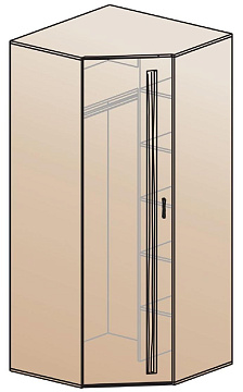 Шкаф для одежды угловой ШК-810