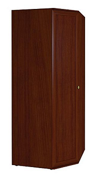 Шкаф угловой 1