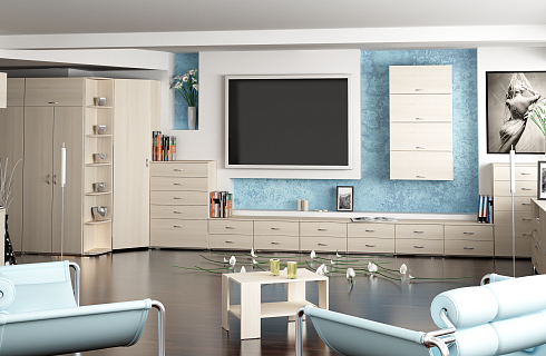 Слим Практик Акация