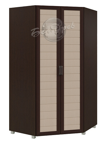 Шкаф 2ств угловой   УГЛ-2Д