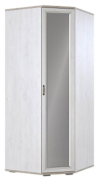 Шкаф угловой (ШК-211) 00-00101986