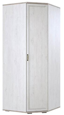 Шкаф угловой (ШК-210)   00-00101985