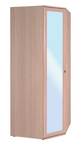 Шкаф угловой   2