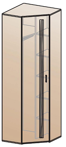 Шкаф для одежды угловой   ШК-815    