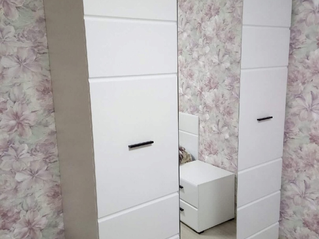 Распашной шкаф 3дв   