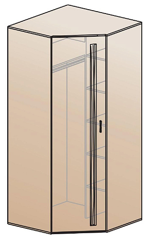 Шкаф для одежды угловой   ШК-810