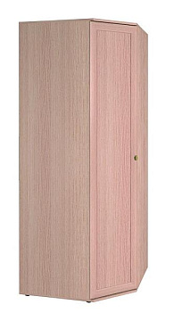 Шкаф угловой 1