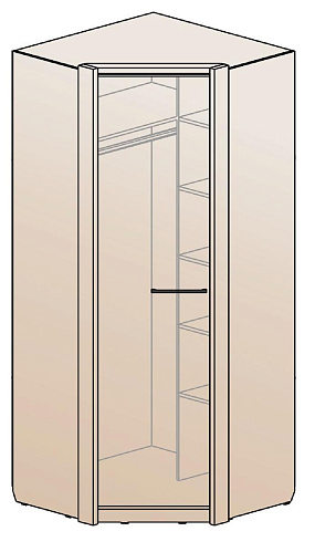 Шкаф для одежды угловой   ШК-1219