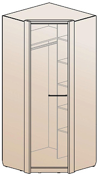 Шкаф для одежды угловой ШК-1219