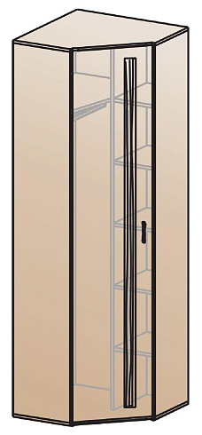 Шкаф для одежды угловой   ШК-815    