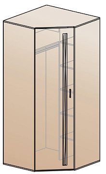 Шкаф для одежды угловой ШК-810