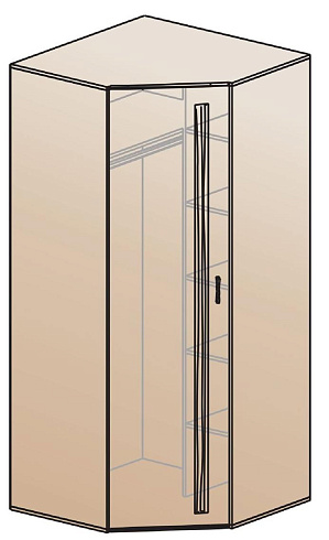 Шкаф для одежды угловой   ШК-810