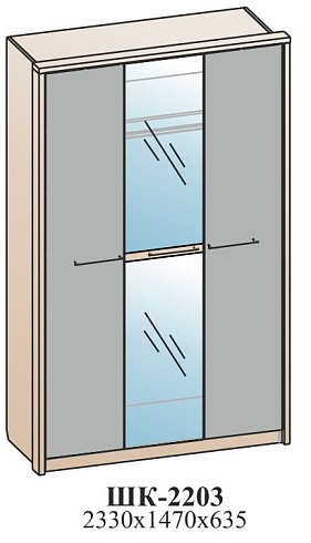 Шкаф для одежды (комбинированный)   ШК-2203