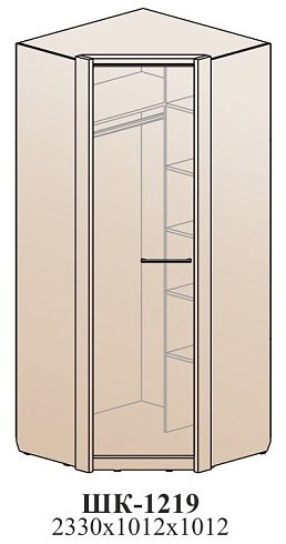Угловой шкаф   ШК-1219