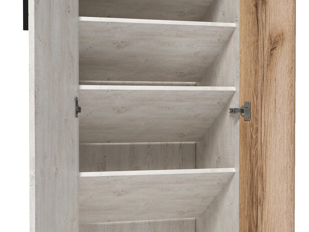 Обувница (Сосна санторини)   00-00099045