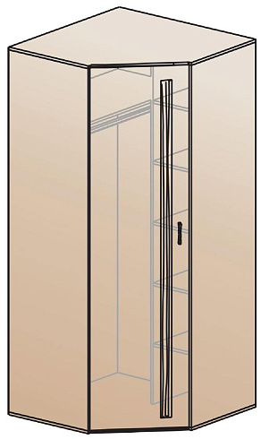 Шкаф для одежды угловой   ШК-810