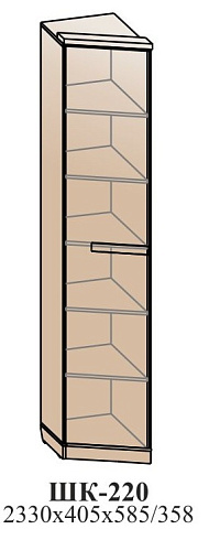 Угловой шкаф   ШК-220