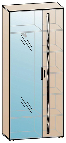 Шкаф для одежды   ШК-838