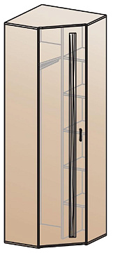 Шкаф для одежды угловой ШК-815    