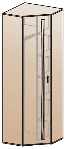 Шкаф для одежды угловой   ШК-815    