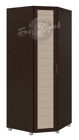 Шкаф 1ств угловой   УГЛ-1Д