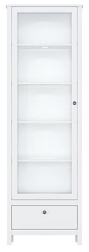 Шкаф с подсветкой REG1W1S/65