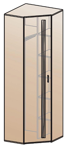 Шкаф для одежды угловой   ШК-815    